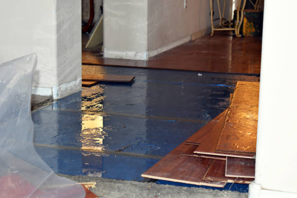 Professional Water Damage Restoration technician working in Wheatland, OK